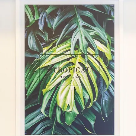 Victus Apartamenty, Apartamenty Alicante