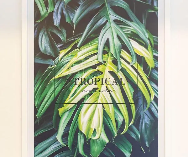 Victus Apartamenty, Alicante